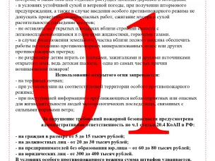 Правила поведения в весенний пожароопасный период